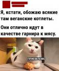 Прикрепленное изображение: Веганские котлеты.jpg