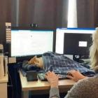 Прикрепленное изображение: Котик за компом.jpg