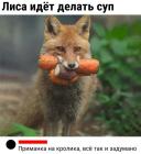 Прикрепленное изображение: Лиса идет делать суп.jpg