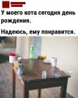 Прикрепленное изображение: День рождения кота.jpg