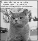 Прикрепленное изображение: 1696141216.jpg