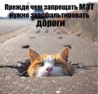 Прикрепленное изображение: 386717371_278908928438538_7163200194836609059_n.jpg