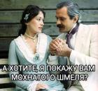 Прикрепленное изображение: photo1689436338.jpeg