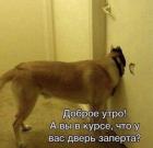 Прикрепленное изображение: Дверь заперта.jpg