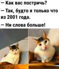 Прикрепленное изображение: Кот из 2001 года.jpg