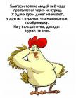 Прикрепленное изображение: Благосостояние через куриц.jpg