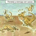 Прикрепленное изображение: image.jpeg