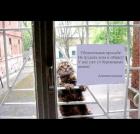 Прикрепленное изображение: IMG-20181128-WA0004.jpg