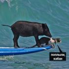 Прикрепленное изображение: TSVwq0_Kdkk.jpg