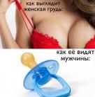 Прикрепленное изображение: Сиськи - Как выглядит женская грудь.jpg