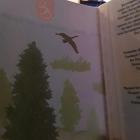 Прикрепленное изображение: E26sKNfDQUk.jpg