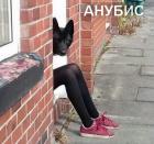 Прикрепленное изображение: 1635944528.jpg