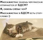 Прикрепленное изображение: Массаж и БДСМ.jpg