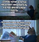 Прикрепленное изображение: Коты плохо ориентируются.jpg