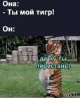 Прикрепленное изображение: Мой тигр.jpg