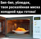 Прикрепленное изображение: Раскаленная миска холодной еды.jpg