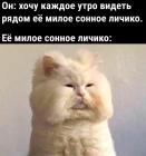 Прикрепленное изображение: Милое сонное личико.jpg