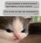 Прикрепленное изображение: Противень.jpg