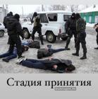 Прикрепленное изображение: IMG_9666.jpeg