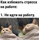 Прикрепленное изображение: Избежать стресса на работе.jpg