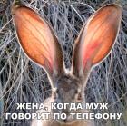 Прикрепленное изображение: Когда муж говорит по телефону.jpg