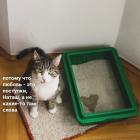 Прикрепленное изображение: Любовь это поступки.jpg