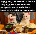 Прикрепленное изображение: Послушай как он жует.jpg