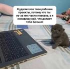 Прикрепленное изображение: Удалил все проекты.jpg