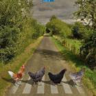 Прикрепленное изображение: bitlz-albom-yebbi_25435.jpg