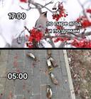 Прикрепленное изображение: По паре ягод и по домам.jpg