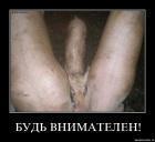 Прикрепленное изображение: x_8fe8693e.jpg