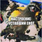 Прикрепленное изображение: big_1895ba7817f65fe679767c824fa931cf.jpg