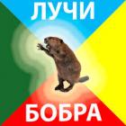 Прикрепленное изображение: images.jpg