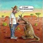 Прикрепленное изображение: image.jpeg