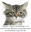 Прикрепленное изображение: hPVkKZTd3Uc.jpg