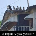 Прикрепленное изображение: 1608189079.jpg