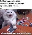 Прикрепленное изображение: Ёбаный рот этого казино блядь.jpg