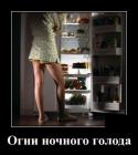 Прикрепленное изображение: Огни ночного голода.jpg