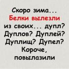 Прикрепленное изображение: 267759438_430542011949380_8250836234034096834_n.jpg