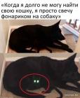 Прикрепленное изображение: 1639123986.jpg