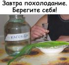 Прикрепленное изображение: 263561507_660448255127301_8116631658270450836_n.jpg