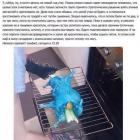 Прикрепленное изображение: Px-UUhJxL8o.jpg