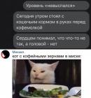 Прикрепленное изображение: Уровень невыспался.jpg