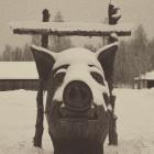 Прикрепленное изображение: 8.jpg