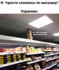 Прикрепленное изображение: Кот - охранник.jpg