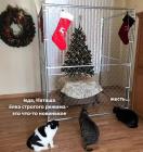 Прикрепленное изображение: Ёлка строгого режима.jpg