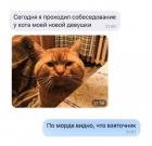 Прикрепленное изображение: Собеседование у кота.jpg