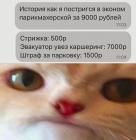 Прикрепленное изображение: Эконом парикмахерская.jpg