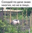 Прикрепленное изображение: 1703062631.jpg