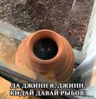 Прикрепленное изображение: 1702720733.jpg